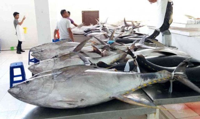 BALI NUSA WINDU MAS, PT