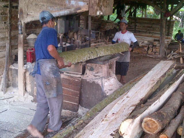 AHLINDO PERKASA ALAM, PT 