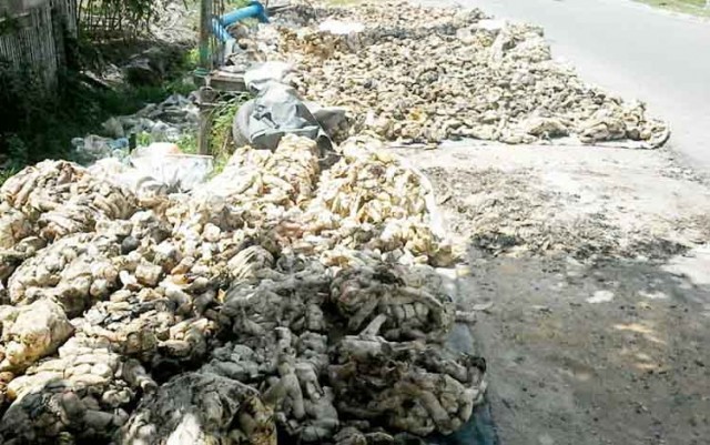 BANDAR SUMATERA INDONESIA, PT 