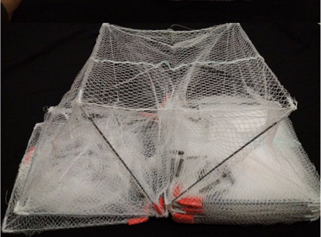 MEGA SURYA Dusun Iv Desa Sungai Pinang I, Ogan Ilir, Sumatera Selatan Telp. 08153556993	Pengilar Kawat