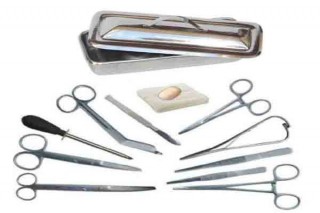 PT Citra Sukses Mandiri