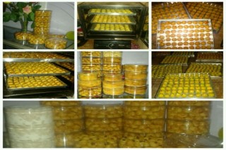 ANTONIUS PADUA PROD, PT