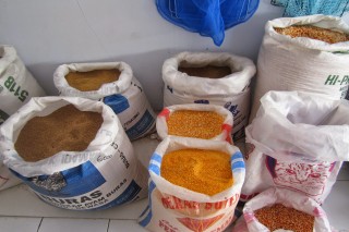 CITRA INA FEED MILL, PT