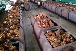 ASTRA AGRO LESTARI, PT