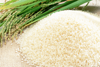 KILANG PADI SEDANG BAIK