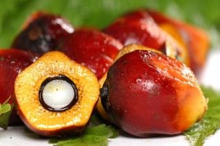 PTP NUSANTARA IV PKS SOSA